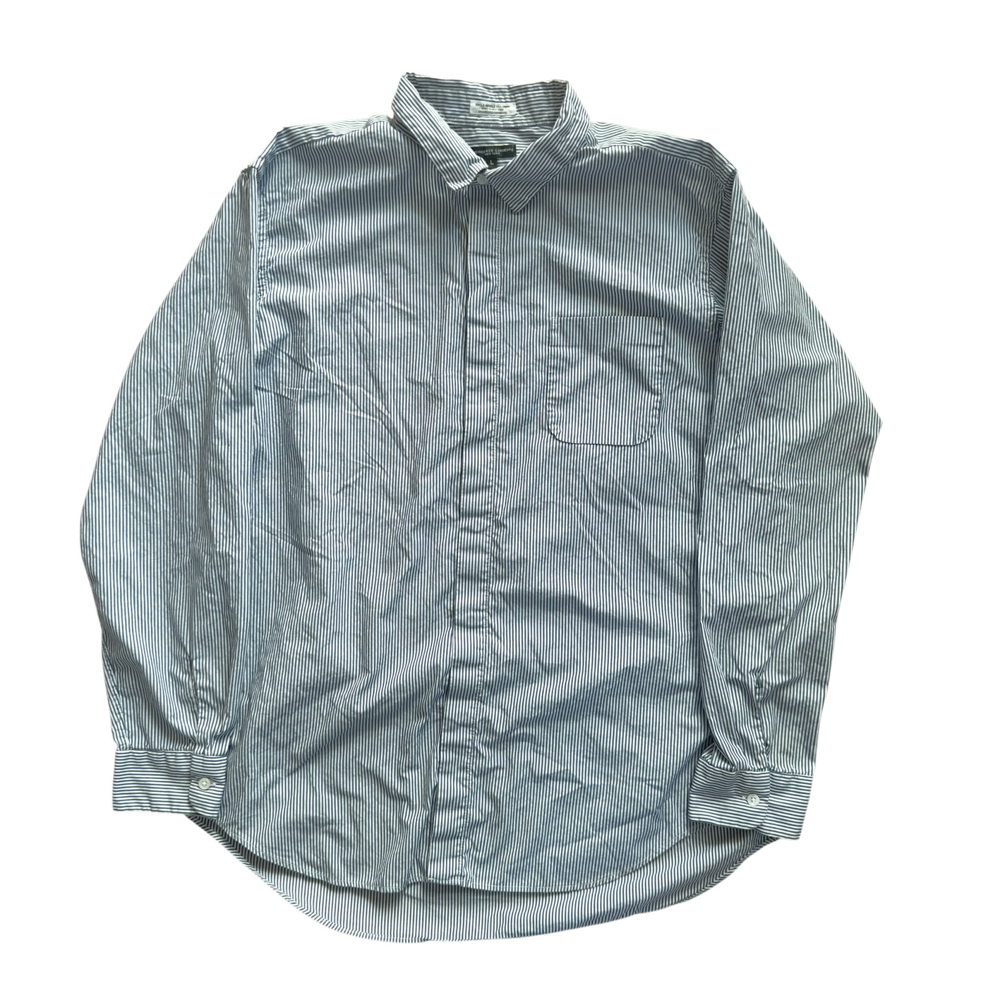 Striped Hidden Placket Button Down Shirt
